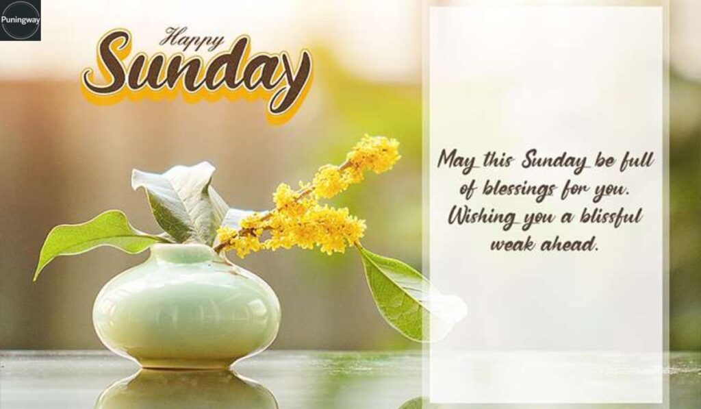 Good Morning Happy Sunday Message