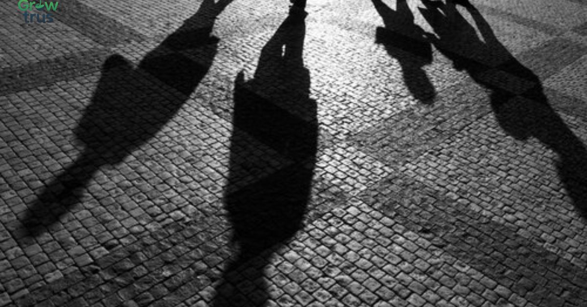 Best Shadow Captions for Instagram