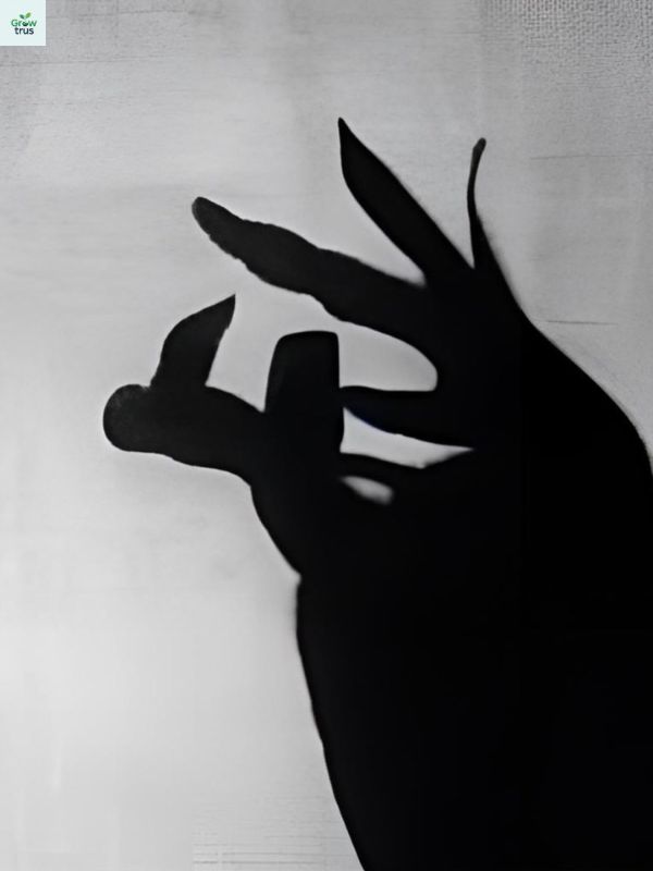 Creative Shadow Captions