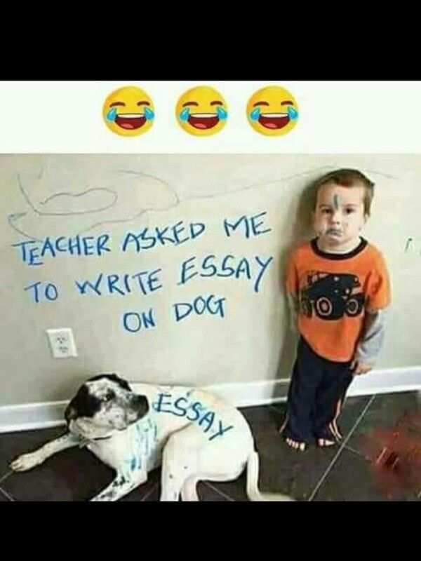 Funny Puns For Kids