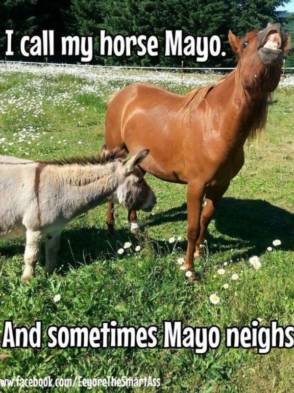 Funny Puns Memes