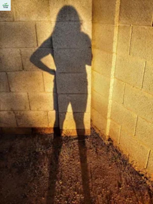 Playful and Fun Shadow Captions