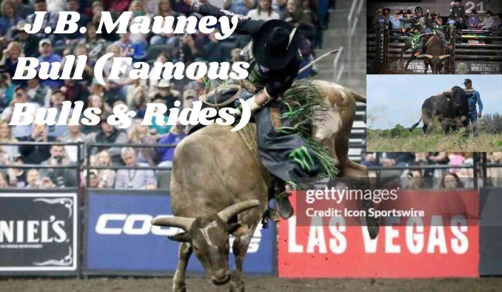 J.B. Mauney Bull (Famous Bulls & Rides)